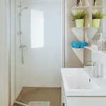 Bijela Uvala - Roan *